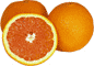 citrusolutionla.com provides the Power of Citrus